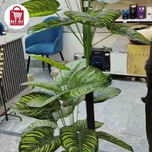 DECORATION PLANT
