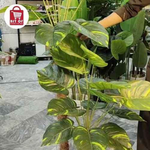 DECORATION PLANT