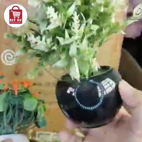 FLOWER POT DECORATION