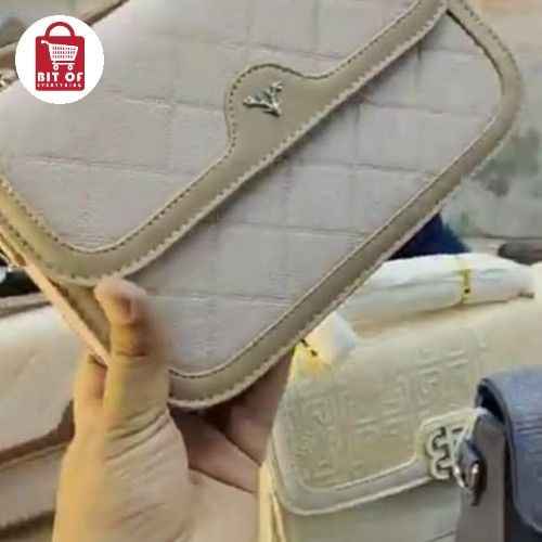 LADIES FANCY BAG