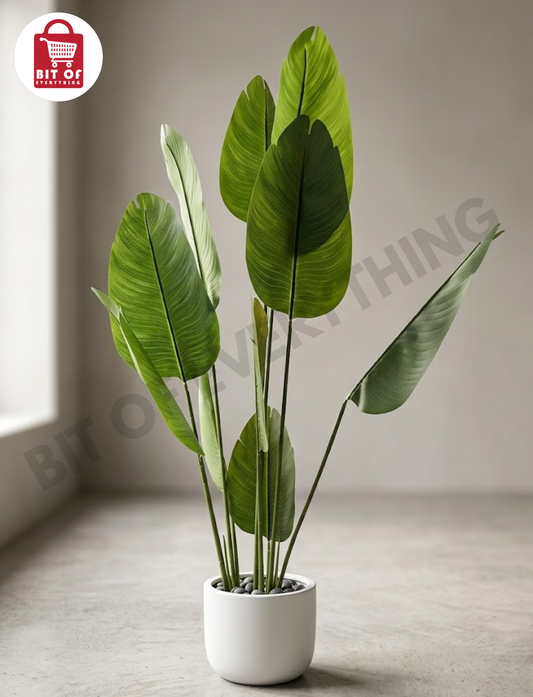 HOME DECOR PRODUCT
