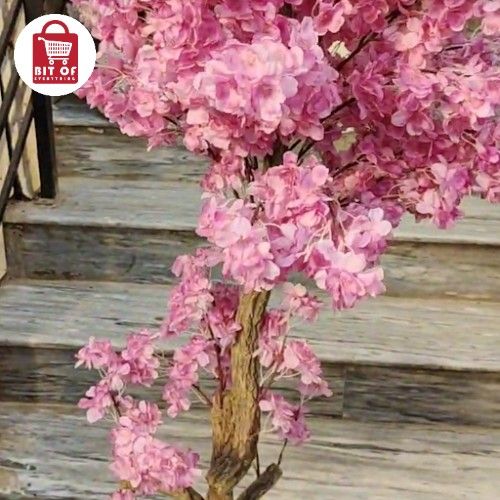 PINK DECORATION PLANT