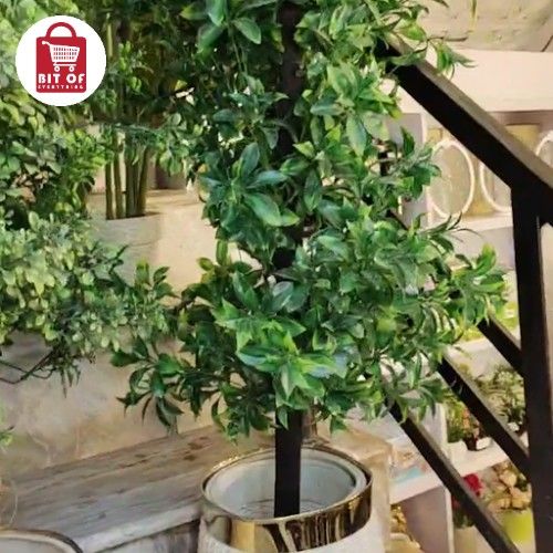 PLANT DECORATION