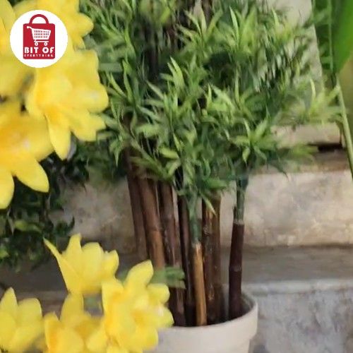 PLANT DECORATION
