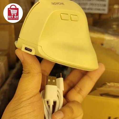 Royche Mouse – Precision & Comfort for Everyday Use