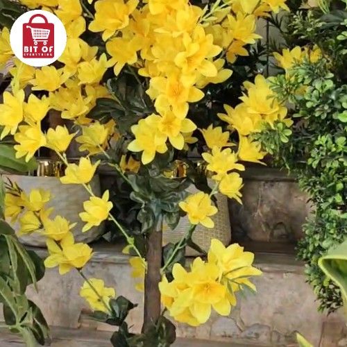 YELLOW LEAFS PLANT