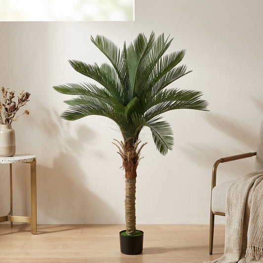 DECORATION PLANT