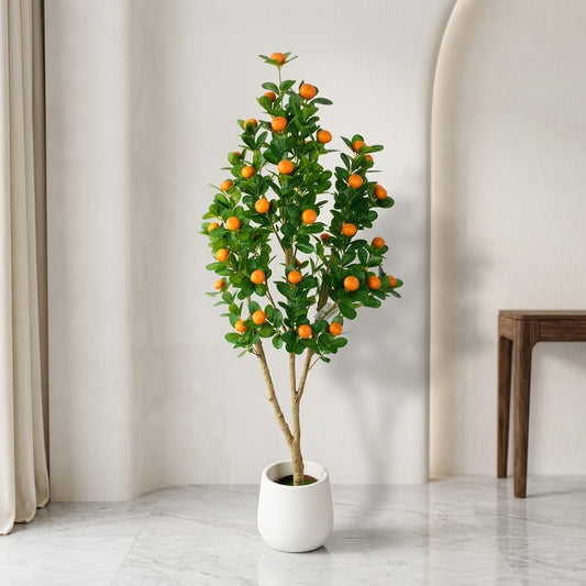DECORATION PLANT