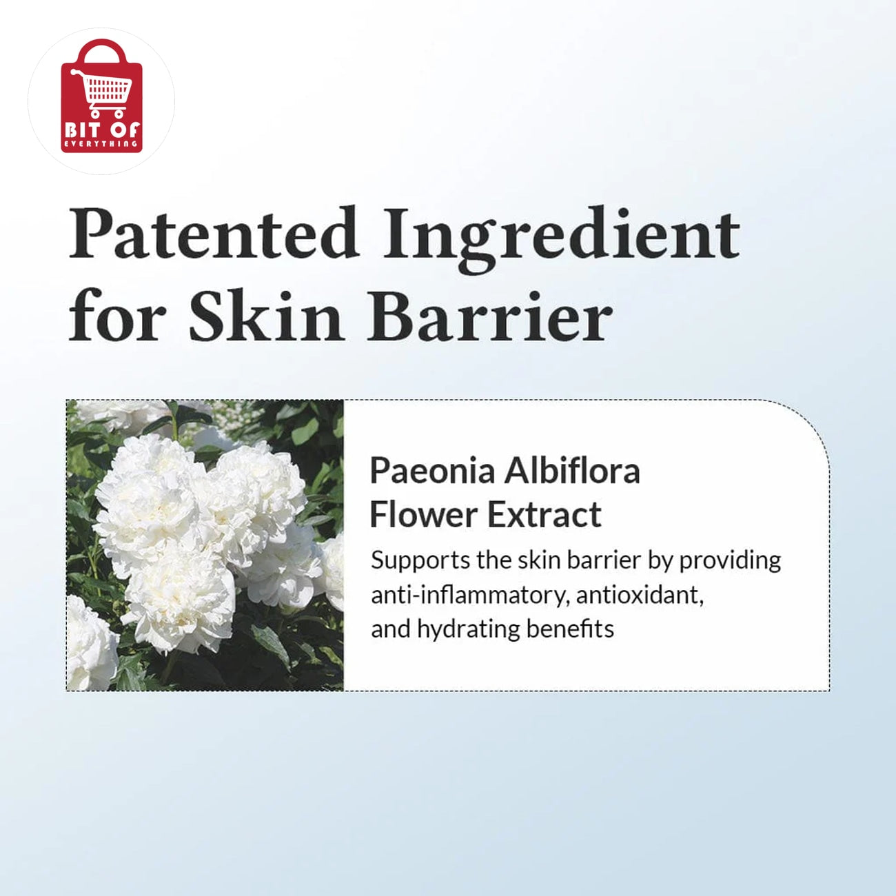 BEAUTY ITEM PRODUCTS