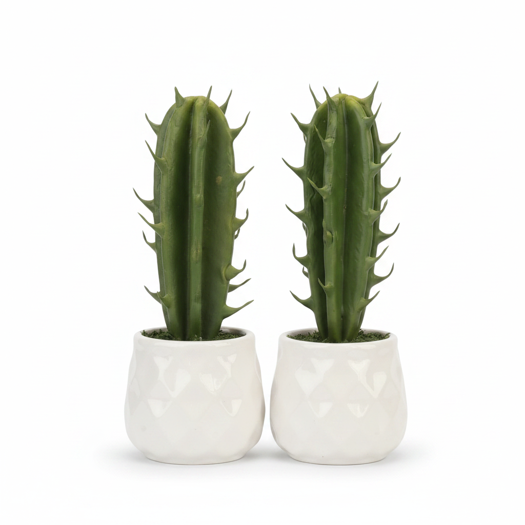Cactus Plant