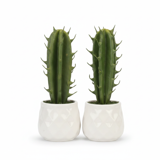 Cactus Plant