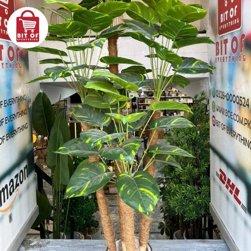 HOME DECOR PRODUCT