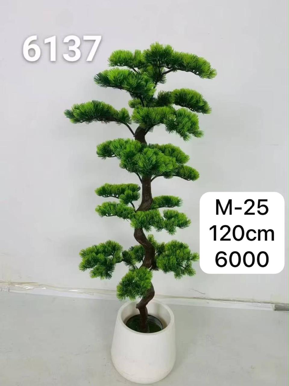 DECORATION PLANT