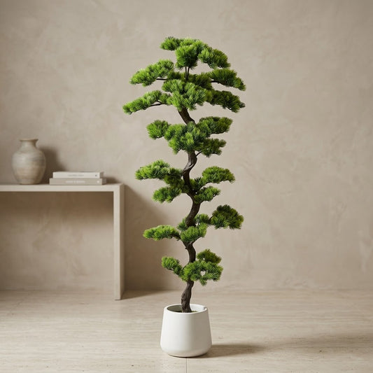 DECORATION PLANT