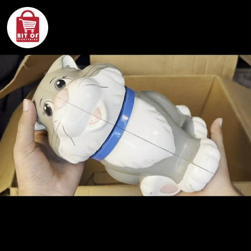 STORAGE AND SOUND CAT