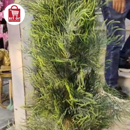 DECORATION PLANT