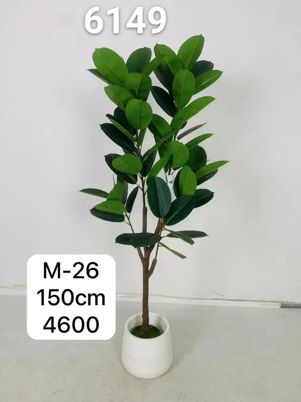 DECORATION PLANT EACH
