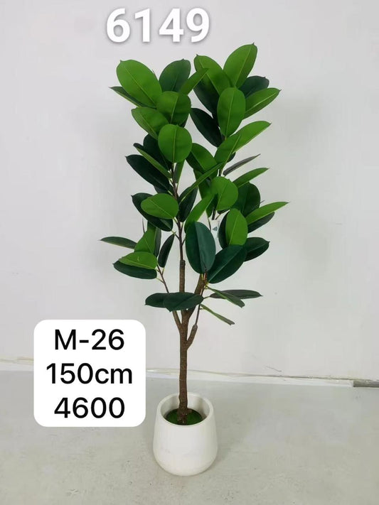 DECORATION PLANT EACH