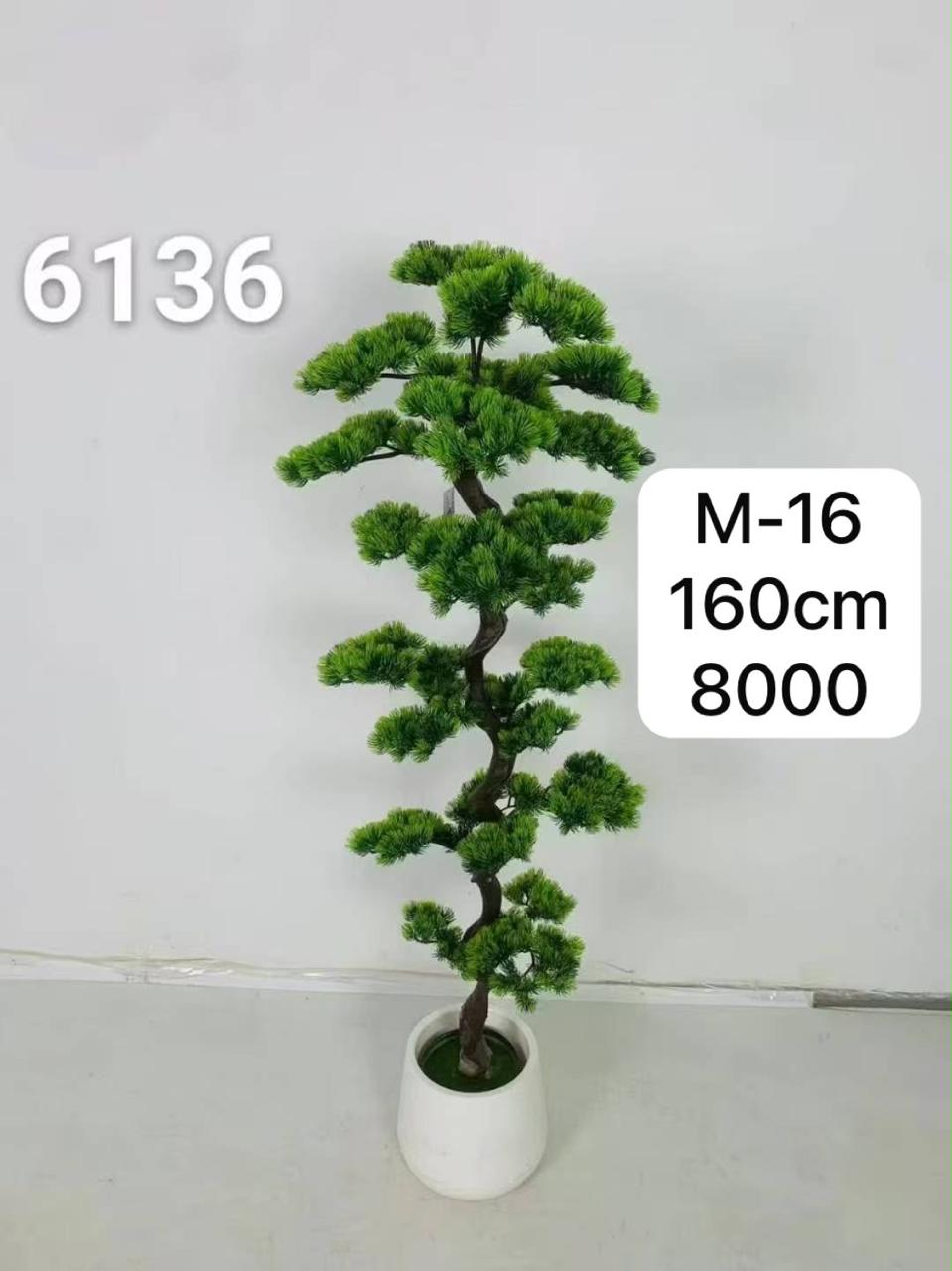 DECORATION PLANT