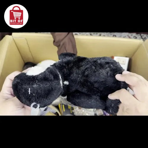 ITEM