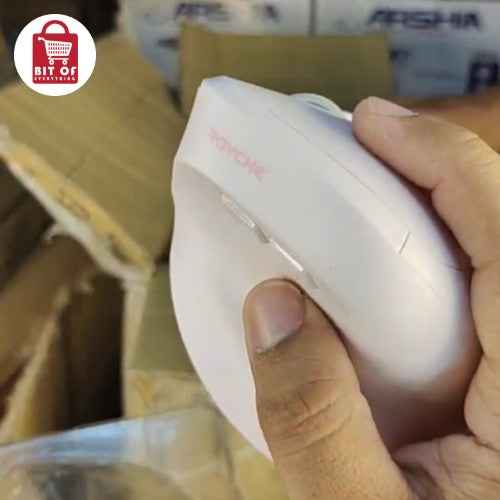 MOUSE ROCHEY (DEAL OF 2)