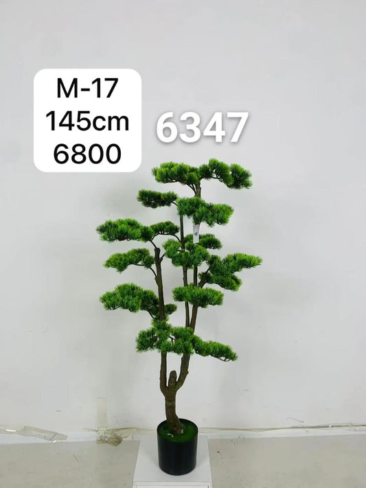 DECORATION PLANT