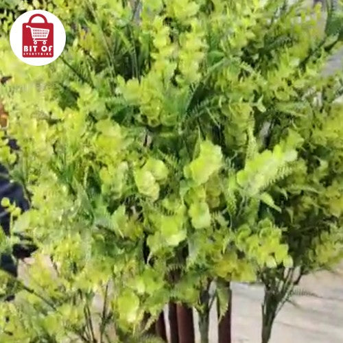 DECORATION PLANT