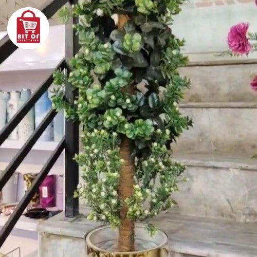 DECORATION PLANT