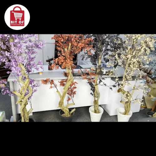 DECORATION PLANT (EACH)