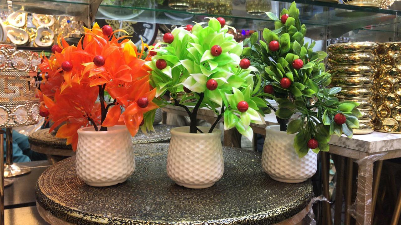 DECORATION PLANT