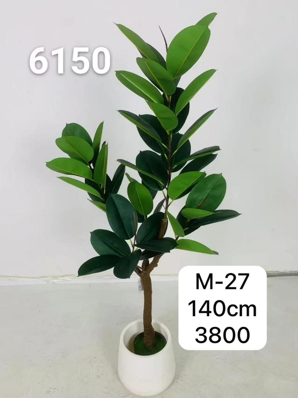 DECORATION PLANT