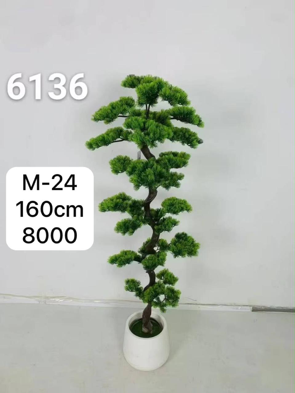 DECORATION PLANT