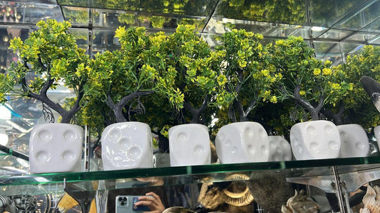DECORATION PLANT EACH