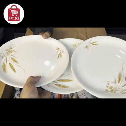 PACK OF 3 FULL SIZE PLATES