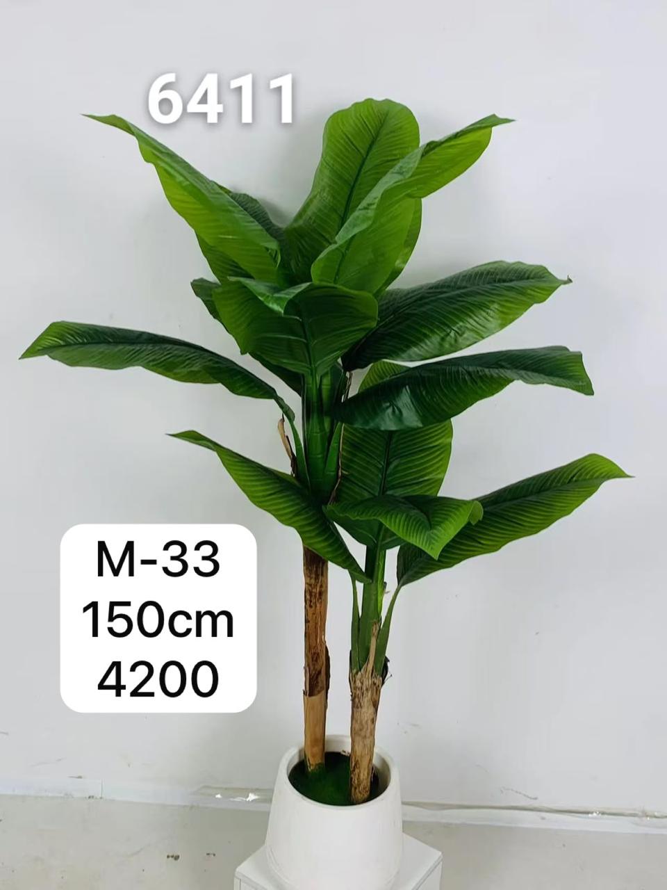 DECORATION PLANT