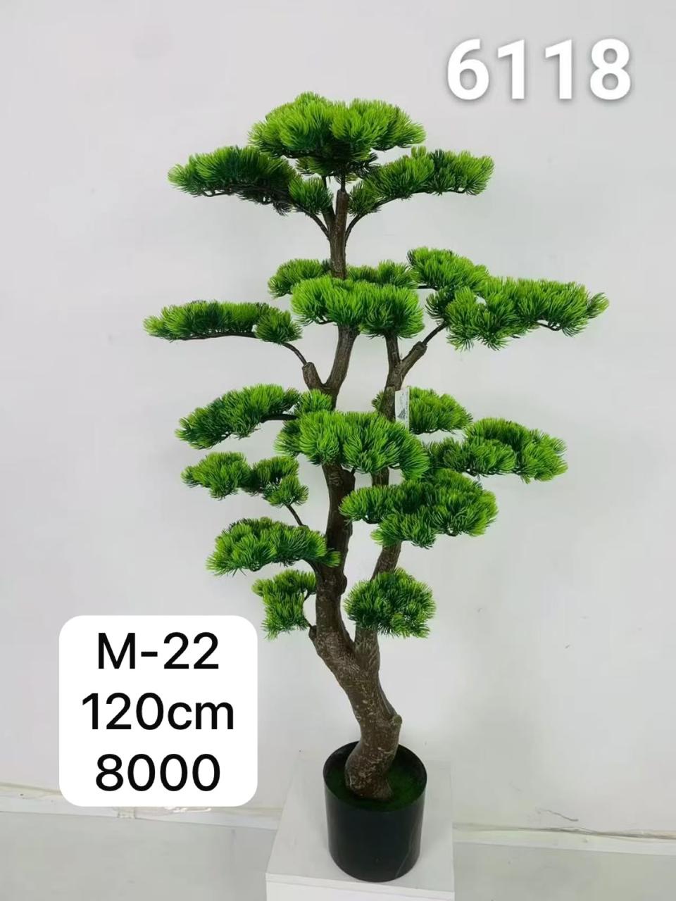 DECORATION PLANT