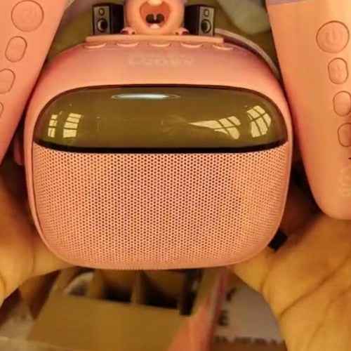 SPEAKER WITH TWO MIC'S