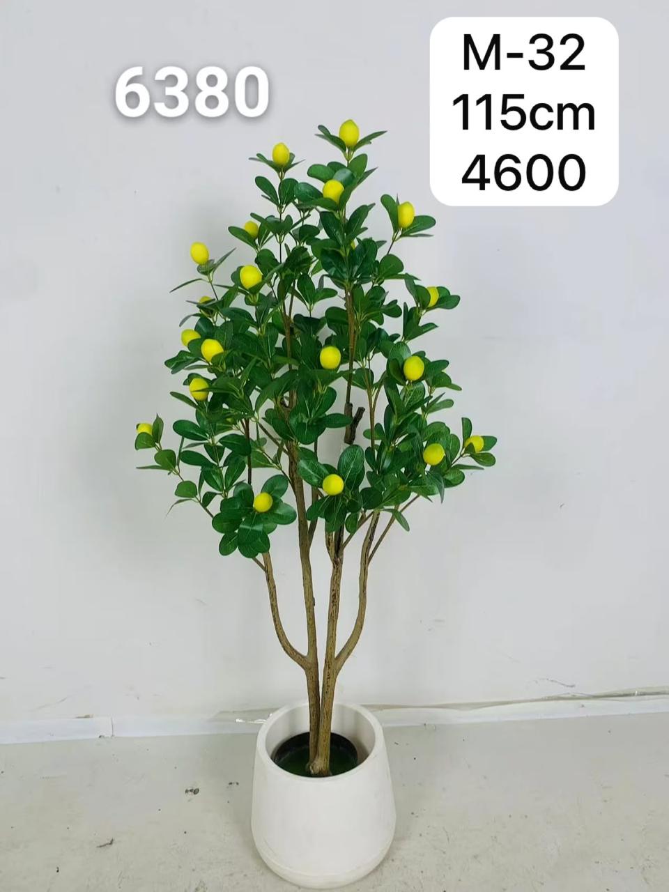 DECORATION PLANT