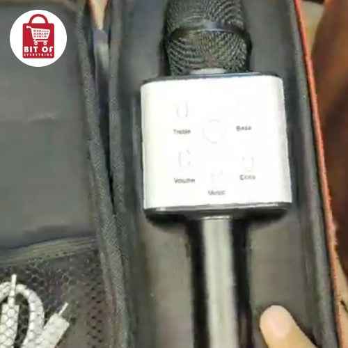 MIC PROFESSIONAL ROCHEY