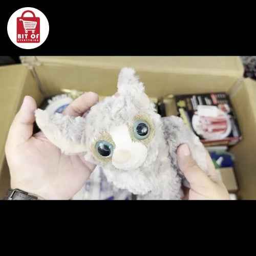 TOY