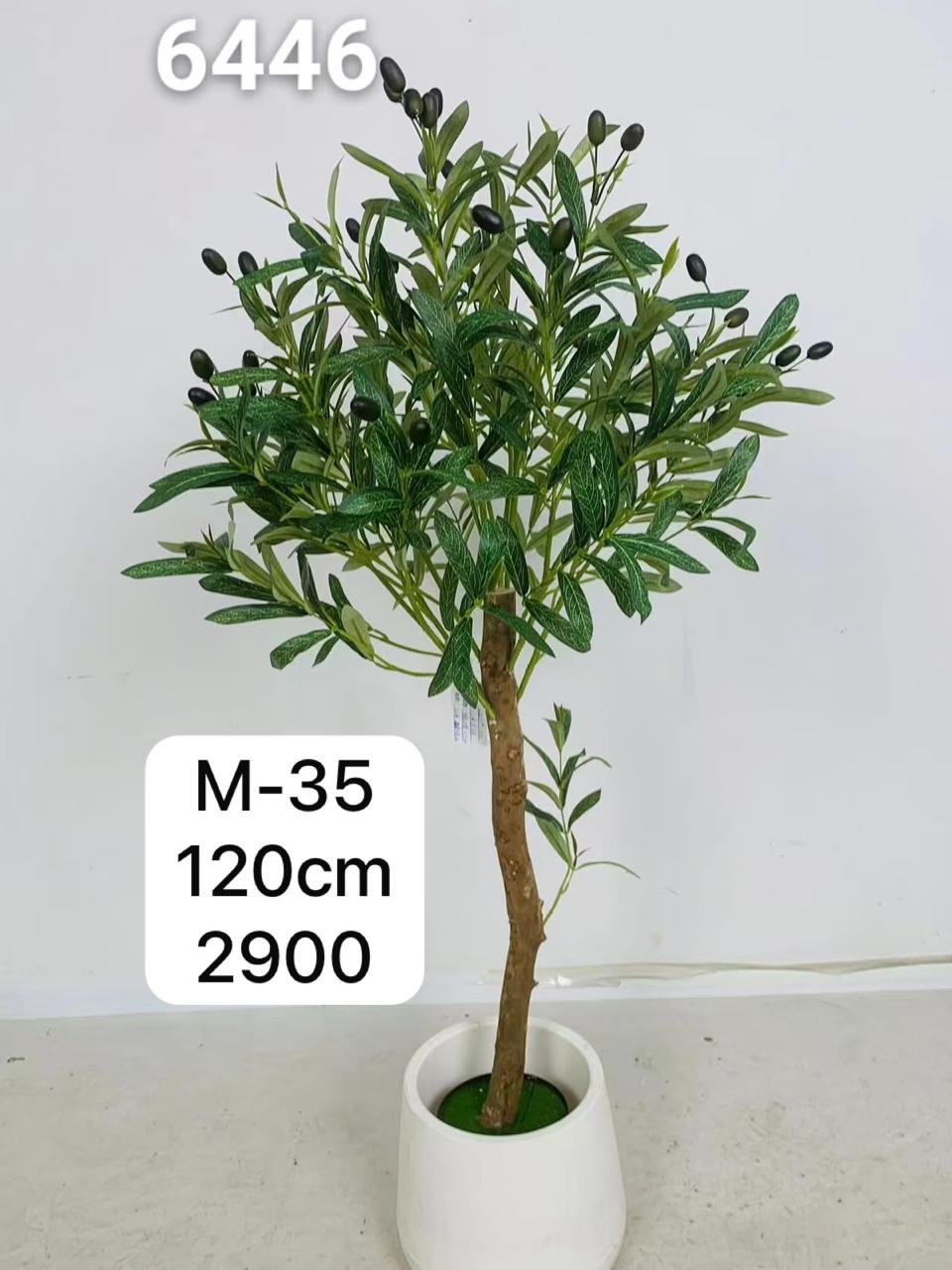 DECORATION PLANT