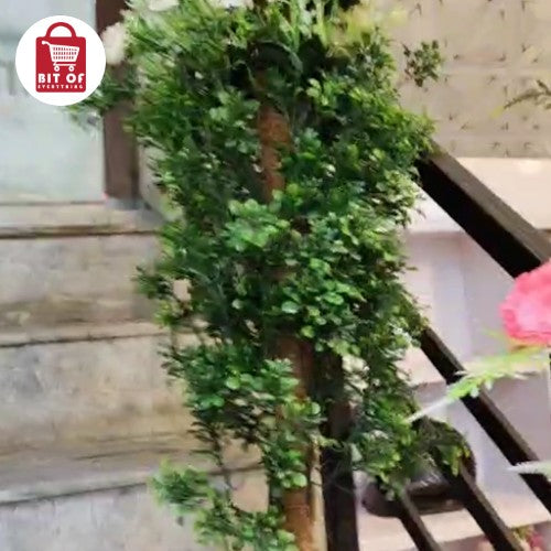 DECORATION PLANT