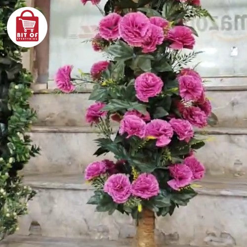 DECORATION PLANT