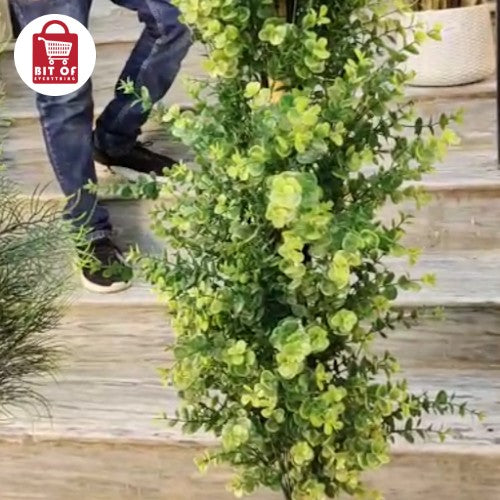 DECORATION PLANT