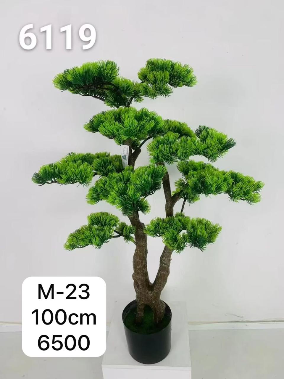 PLANT