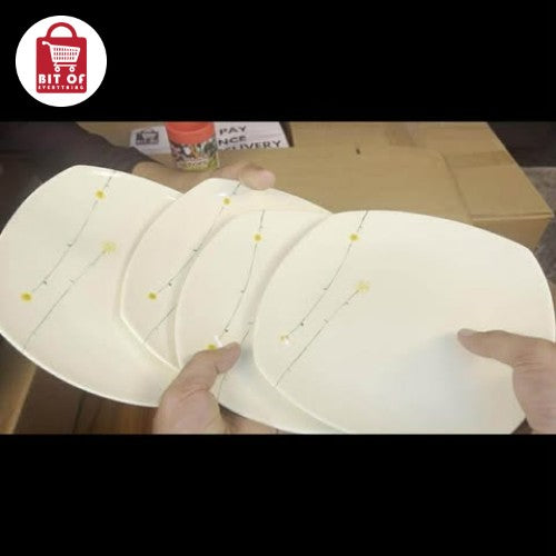 PACK OF 4 PLATES