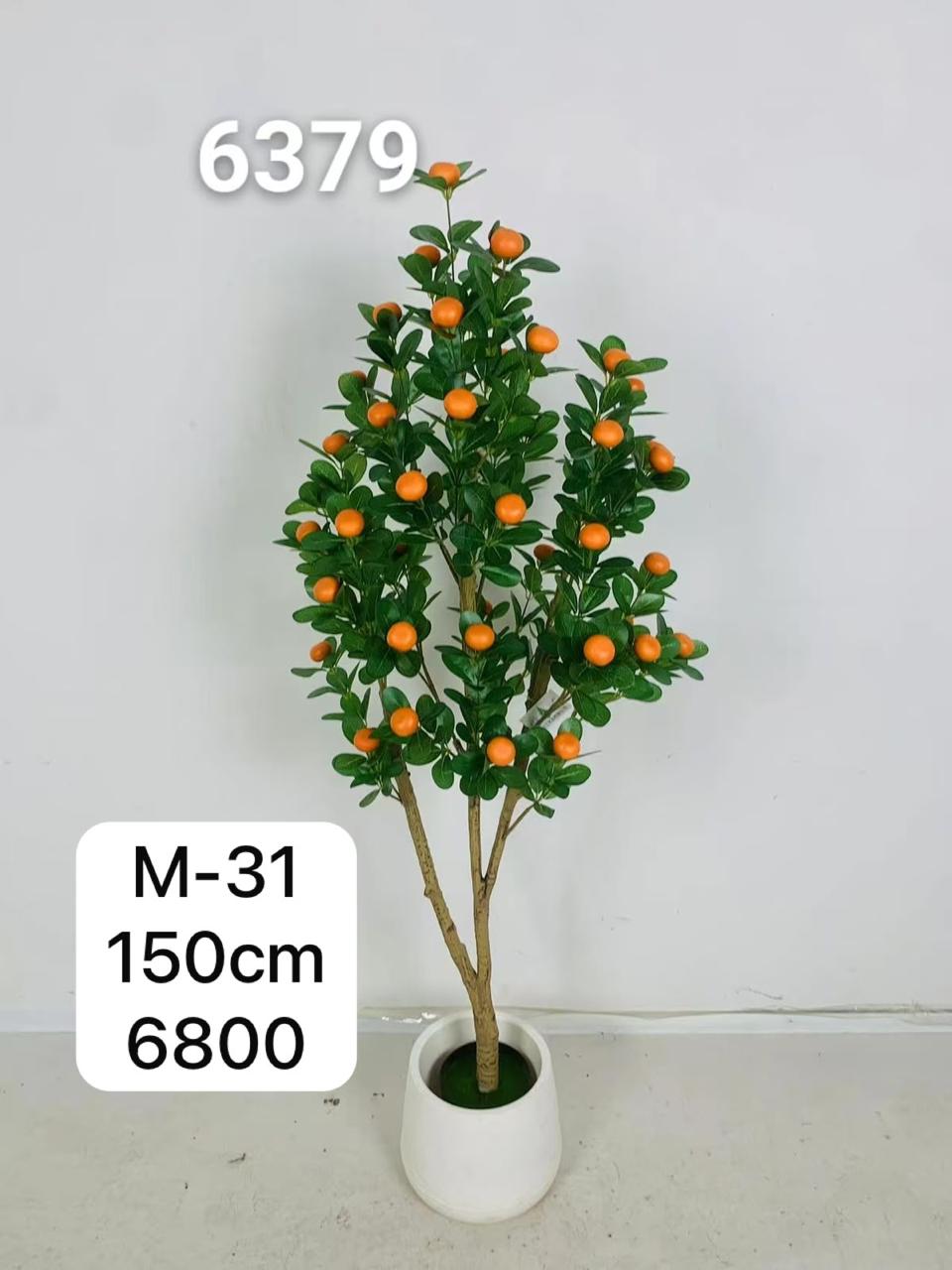 DECORATION PLANT