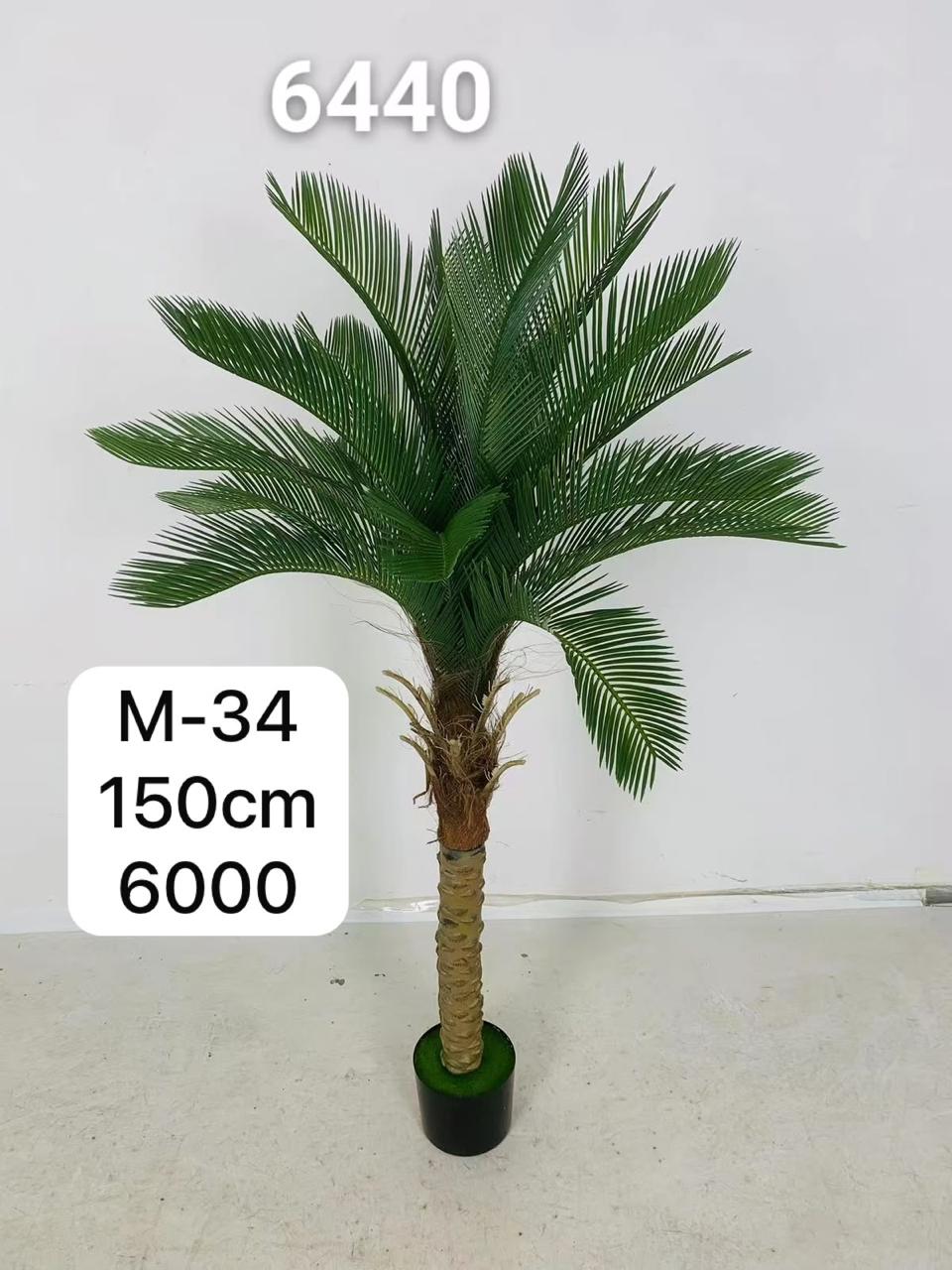 DECORATION PLANT