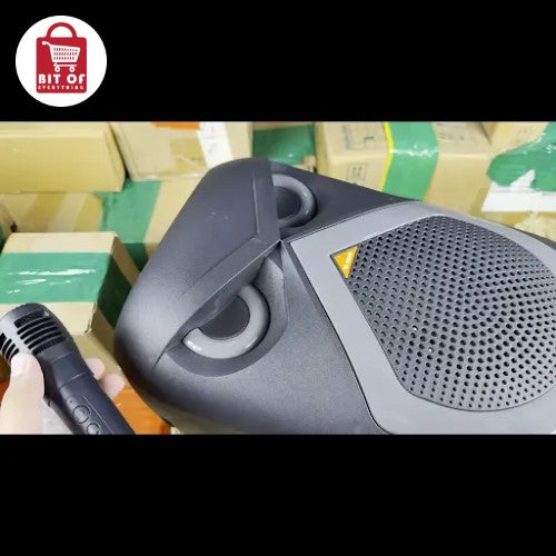 HEAVY SPEAKER SET WITH MIC