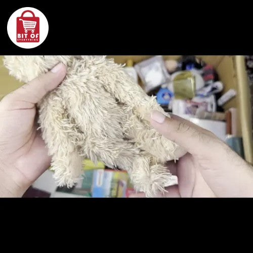 TOY